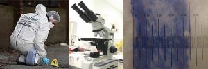 Laboratorio de criminalística