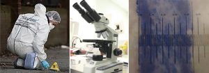Laboratorio contra el fraude documental